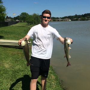 Meet your Posher, Adam